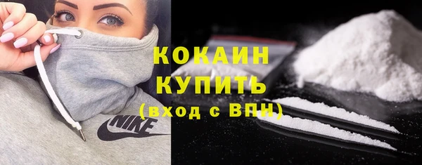 ПСИЛОЦИБИНОВЫЕ ГРИБЫ Гусев