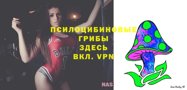 ПСИЛОЦИБИНОВЫЕ ГРИБЫ Гусев