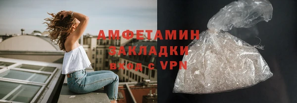 ПСИЛОЦИБИНОВЫЕ ГРИБЫ Гусев