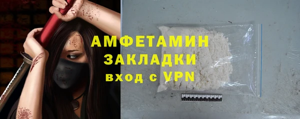 ПСИЛОЦИБИНОВЫЕ ГРИБЫ Гусев