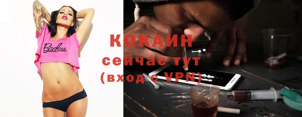 ПСИЛОЦИБИНОВЫЕ ГРИБЫ Гусев