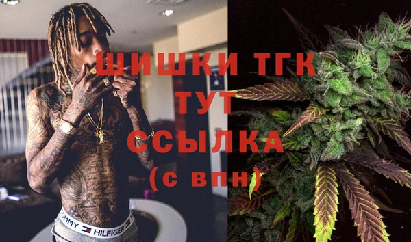 ПСИЛОЦИБИНОВЫЕ ГРИБЫ Гусев