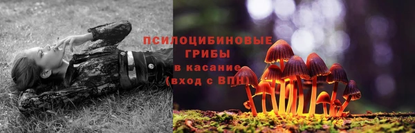 кокс Гусиноозёрск