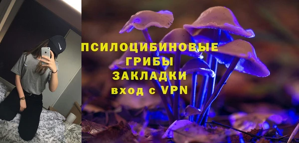 первитин Гусь-Хрустальный