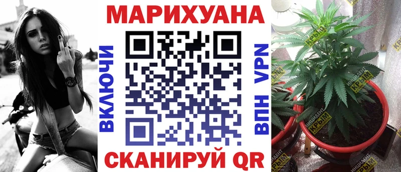 Марихуана Amnesia  Купить закладки  Полысаево 